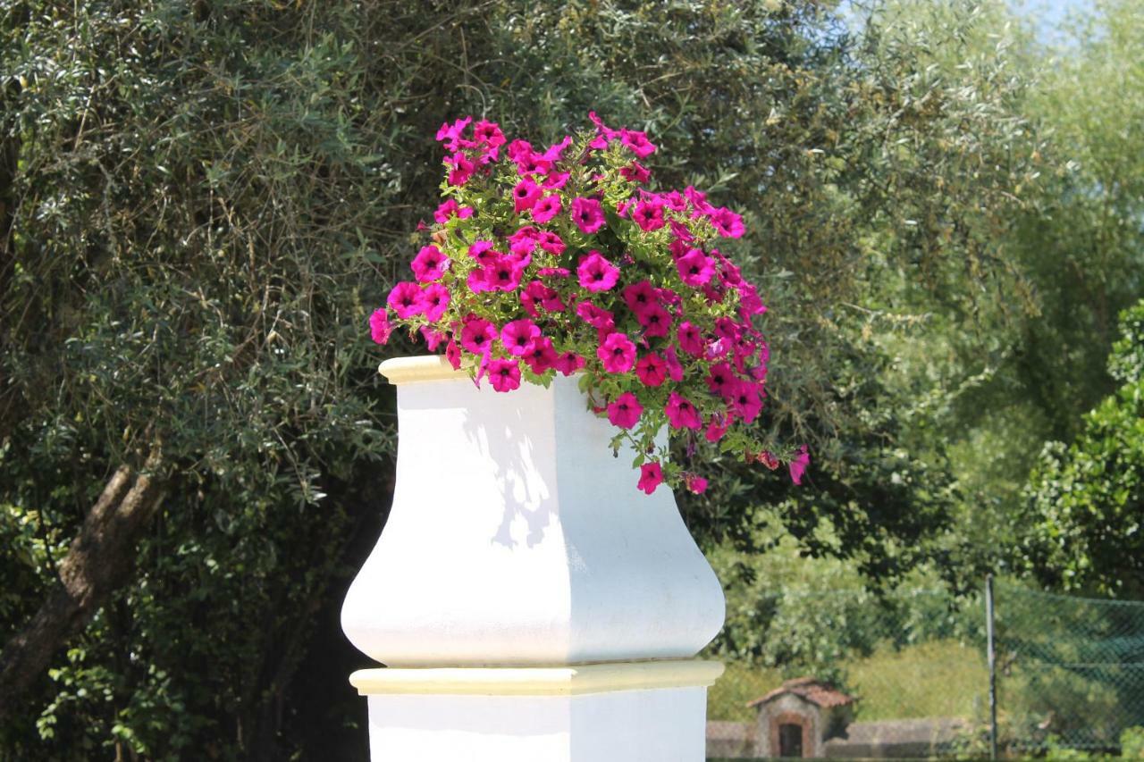 Bed and Breakfast Quinta Do Outeiro Vila Nova de Poiares Exterior foto